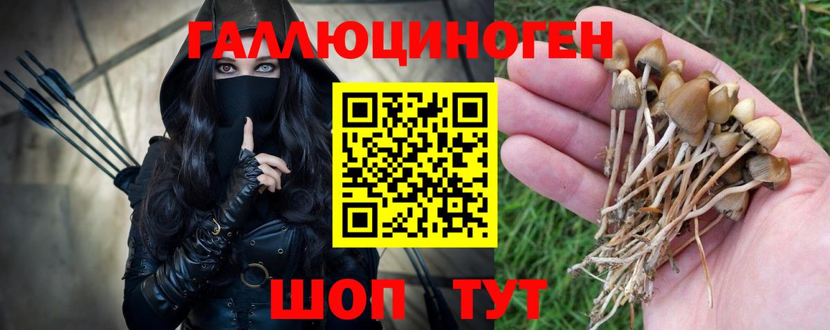 Зеленогорск  купить наркотики цена  Вход с VPN  Галлюциногенные грибы ЛСД 